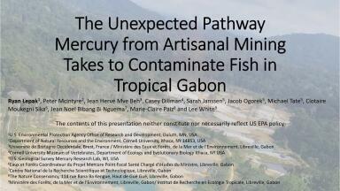 The Unexpected Pathway Mercury from Artisanal Mining Takes to Contaminate Fish in Tropical Gabon
